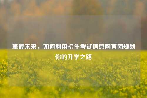 掌握未来，如何利用招生考试信息网官网规划你的升学之路