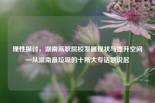 理性探讨，湖南高职院校发展现状与提升空间—从湖南最垃圾的十所大专话题说起