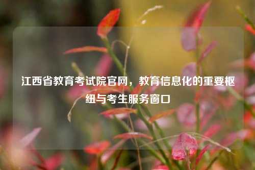 江西省教育考试院官网，教育信息化的重要枢纽与考生服务窗口