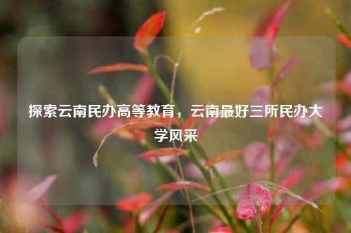 探索云南民办高等教育，云南最好三所民办大学风采