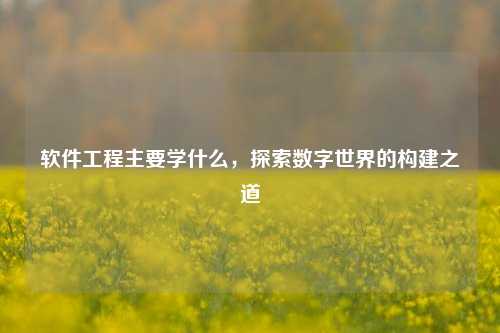 软件工程主要学什么，探索数字世界的构建之道