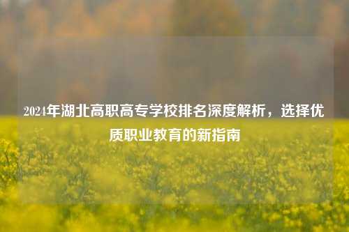 2024年湖北高职高专学校排名深度解析，选择优质职业教育的新指南