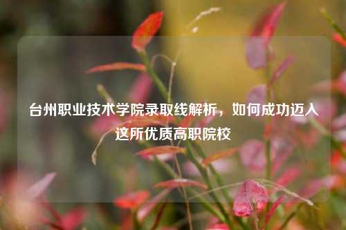 台州职业技术学院录取线解析，如何成功迈入这所优质高职院校