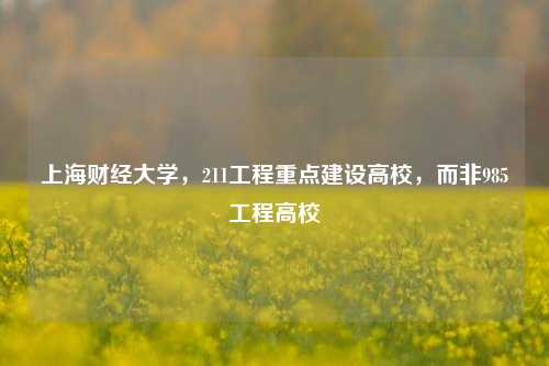 上海财经大学，211工程重点建设高校，而非985工程高校
