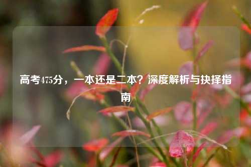 高考475分，一本还是二本？深度解析与抉择指南