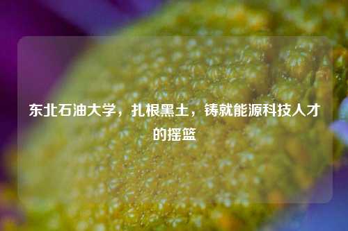 东北石油大学，扎根黑土，铸就能源科技人才的摇篮