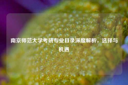 南京师范大学考研专业目录深度解析，选择与机遇