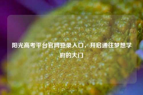 阳光高考平台官网登录入口，开启通往梦想学府的大门