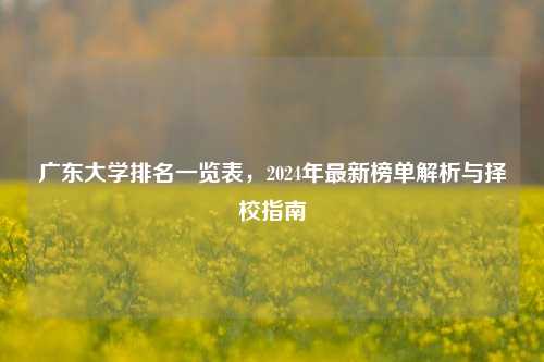 广东大学排名一览表，2024年最新榜单解析与择校指南