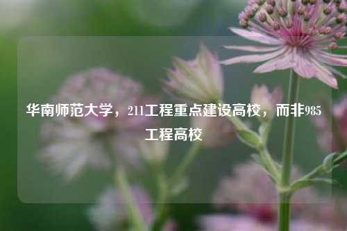 华南师范大学，211工程重点建设高校，而非985工程高校