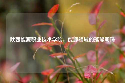 陕西能源职业技术学院，能源领域的璀璨明珠