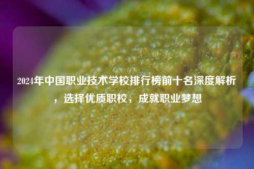 2024年中国职业技术学校排行榜前十名深度解析，选择优质职校，成就职业梦想