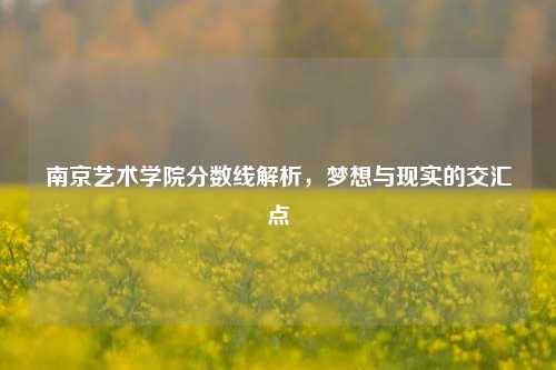 南京艺术学院分数线解析，梦想与现实的交汇点