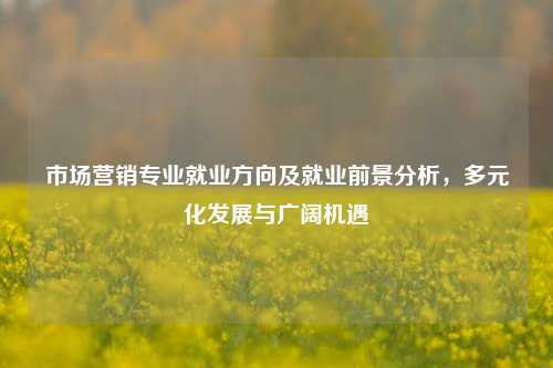 市场营销专业就业方向及就业前景分析，多元化发展与广阔机遇