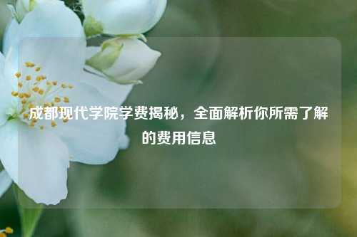 成都现代学院学费揭秘，全面解析你所需了解的费用信息