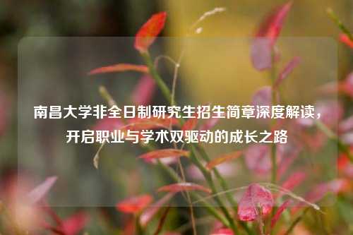 南昌大学非全日制研究生招生简章深度解读，开启职业与学术双驱动的成长之路