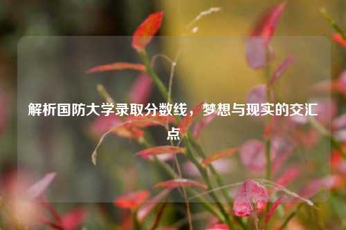解析国防大学录取分数线，梦想与现实的交汇点