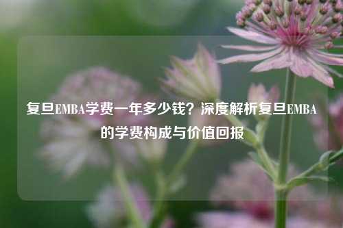复旦EMBA学费一年多少钱？深度解析复旦EMBA的学费构成与价值回报