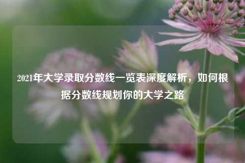 2021年大学录取分数线一览表深度解析，如何根据分数线规划你的大学之路