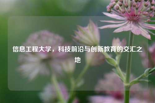 信息工程大学，科技前沿与创新教育的交汇之地