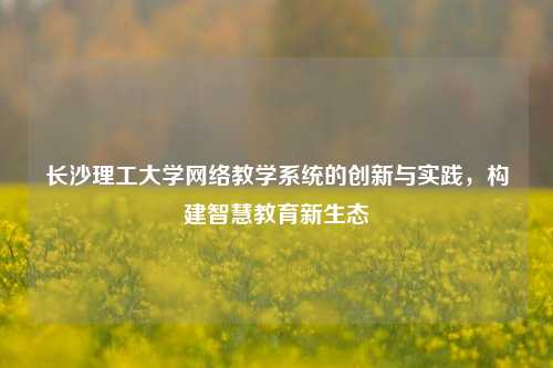 长沙理工大学网络教学系统的创新与实践，构建智慧教育新生态