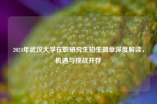 2024年武汉大学在职研究生招生简章深度解读，机遇与挑战并存