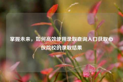 掌握未来，如何高效使用录取查询入口获取心仪院校的录取结果