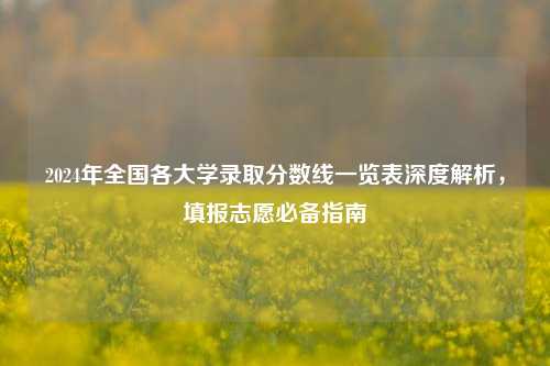 2024年全国各大学录取分数线一览表深度解析，填报志愿必备指南