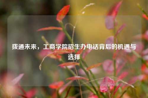 拨通未来，工商学院招生办电话背后的机遇与选择
