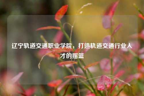 辽宁轨道交通职业学院，打造轨道交通行业人才的摇篮