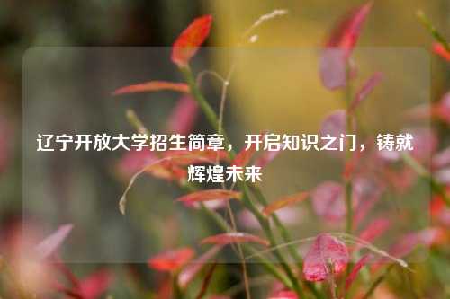 辽宁开放大学招生简章，开启知识之门，铸就辉煌未来