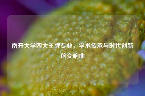 南开大学四大王牌专业，学术传承与时代创新的交响曲
