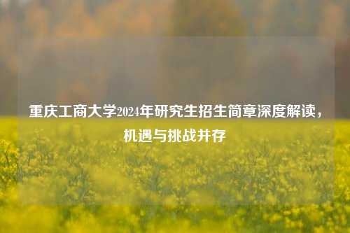 重庆工商大学2024年研究生招生简章深度解读，机遇与挑战并存