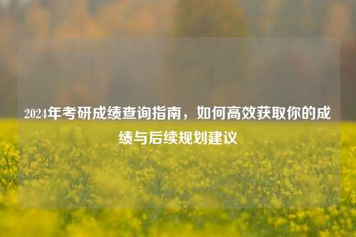 2024年考研成绩查询指南，如何高效获取你的成绩与后续规划建议