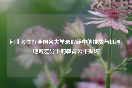 河北考生在全国各大学录取线中的挑战与机遇，地域差异下的教育公平探讨