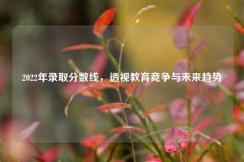 2022年录取分数线，透视教育竞争与未来趋势