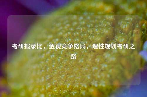 考研报录比，透视竞争格局，理性规划考研之路