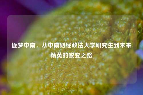 逐梦中南，从中南财经政法大学研究生到未来精英的蜕变之路
