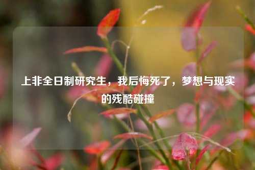 上非全日制研究生，我后悔死了，梦想与现实的残酷碰撞