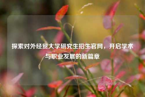 探索对外经贸大学研究生招生官网，开启学术与职业发展的新篇章