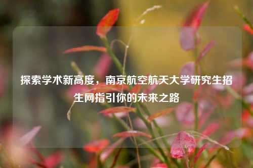 探索学术新高度，南京航空航天大学研究生招生网指引你的未来之路