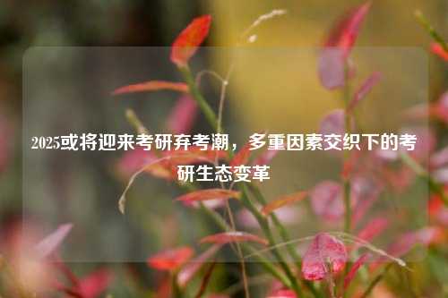 2025或将迎来考研弃考潮，多重因素交织下的考研生态变革