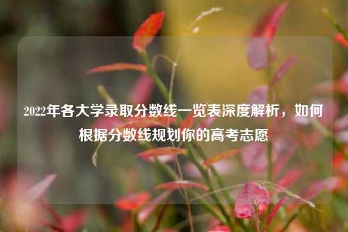 2022年各大学录取分数线一览表深度解析，如何根据分数线规划你的高考志愿