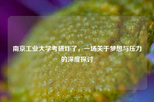 南京工业大学考研炸了，一场关于梦想与压力的深度探讨
