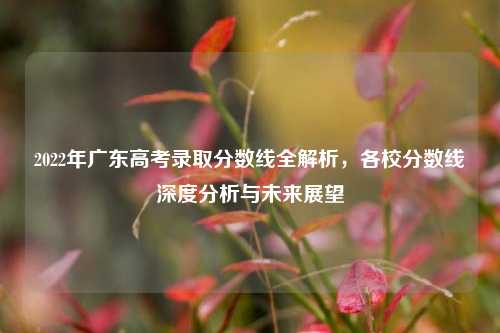 2022年广东高考录取分数线全解析，各校分数线深度分析与未来展望
