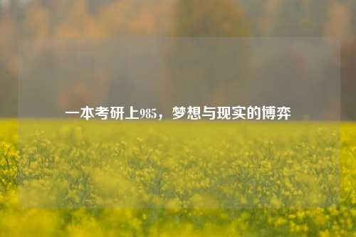 一本考研上985，梦想与现实的博弈