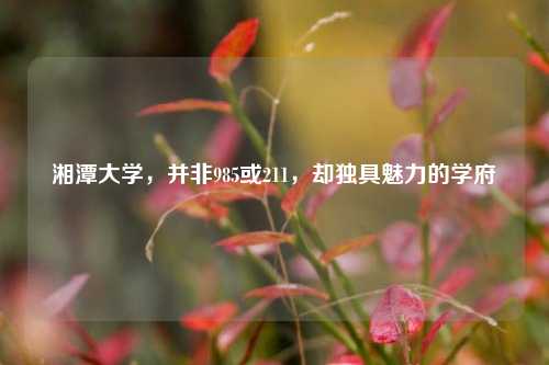 湘潭大学，并非985或211，却独具魅力的学府