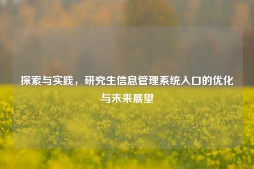 探索与实践，研究生信息管理系统入口的优化与未来展望