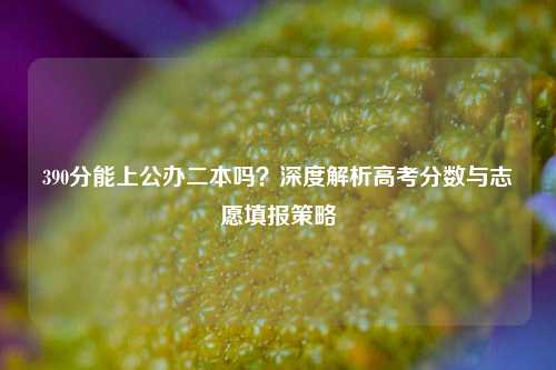 390分能上公办二本吗？深度解析高考分数与志愿填报策略