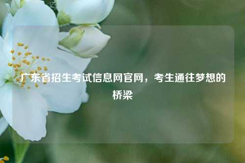 广东省招生考试信息网官网，考生通往梦想的桥梁